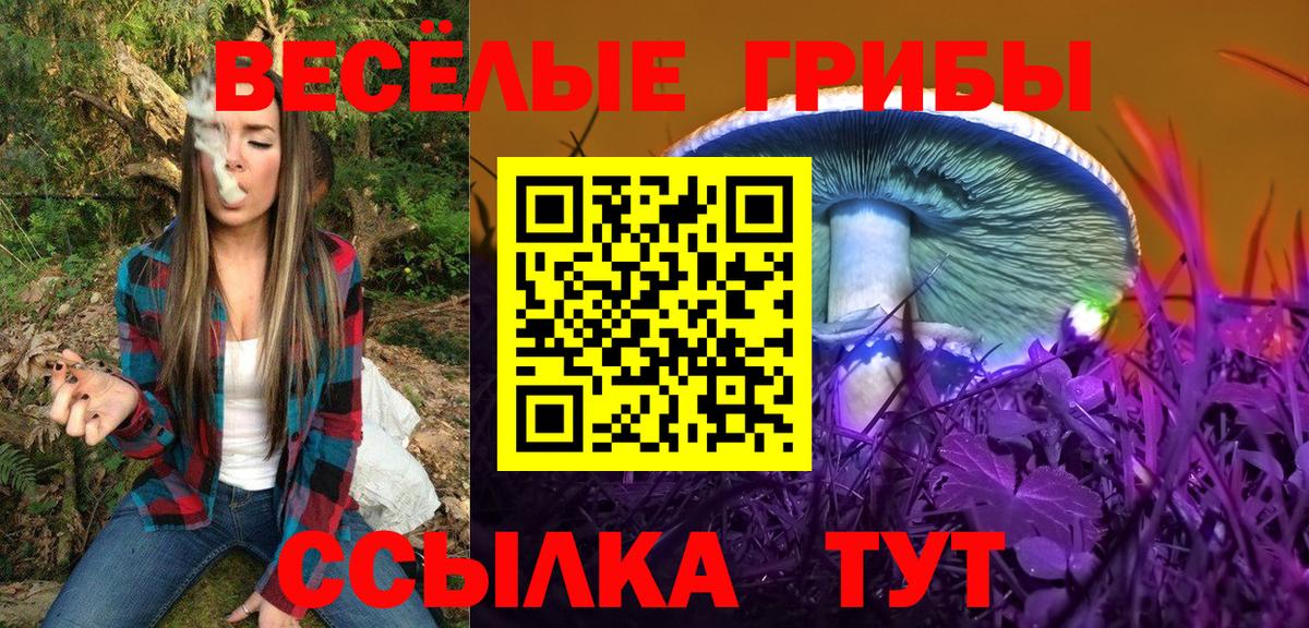 Псилоцибиновые грибы Psilocybe  Галлюциногенные грибы GOLDEN TEACHER  Самара  Вход с VPN 